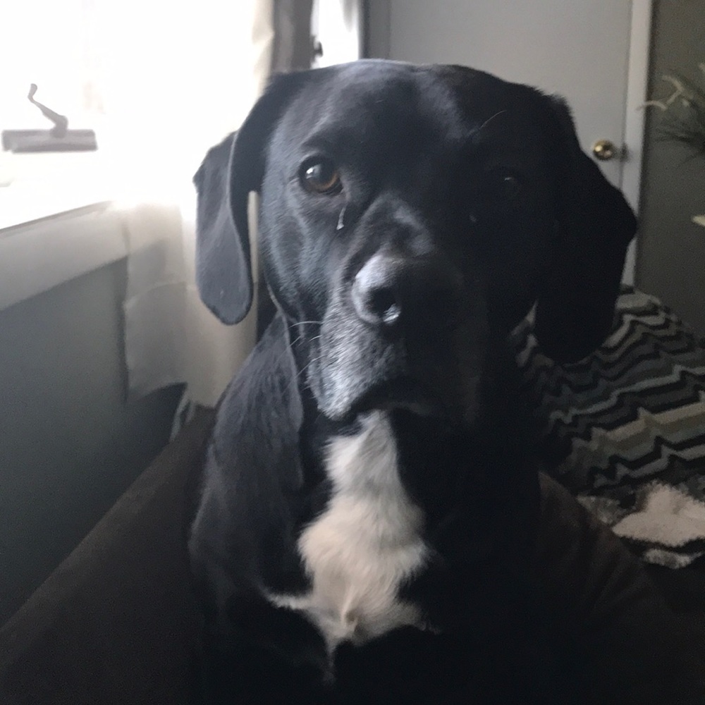 Meet your Posher, Kyle